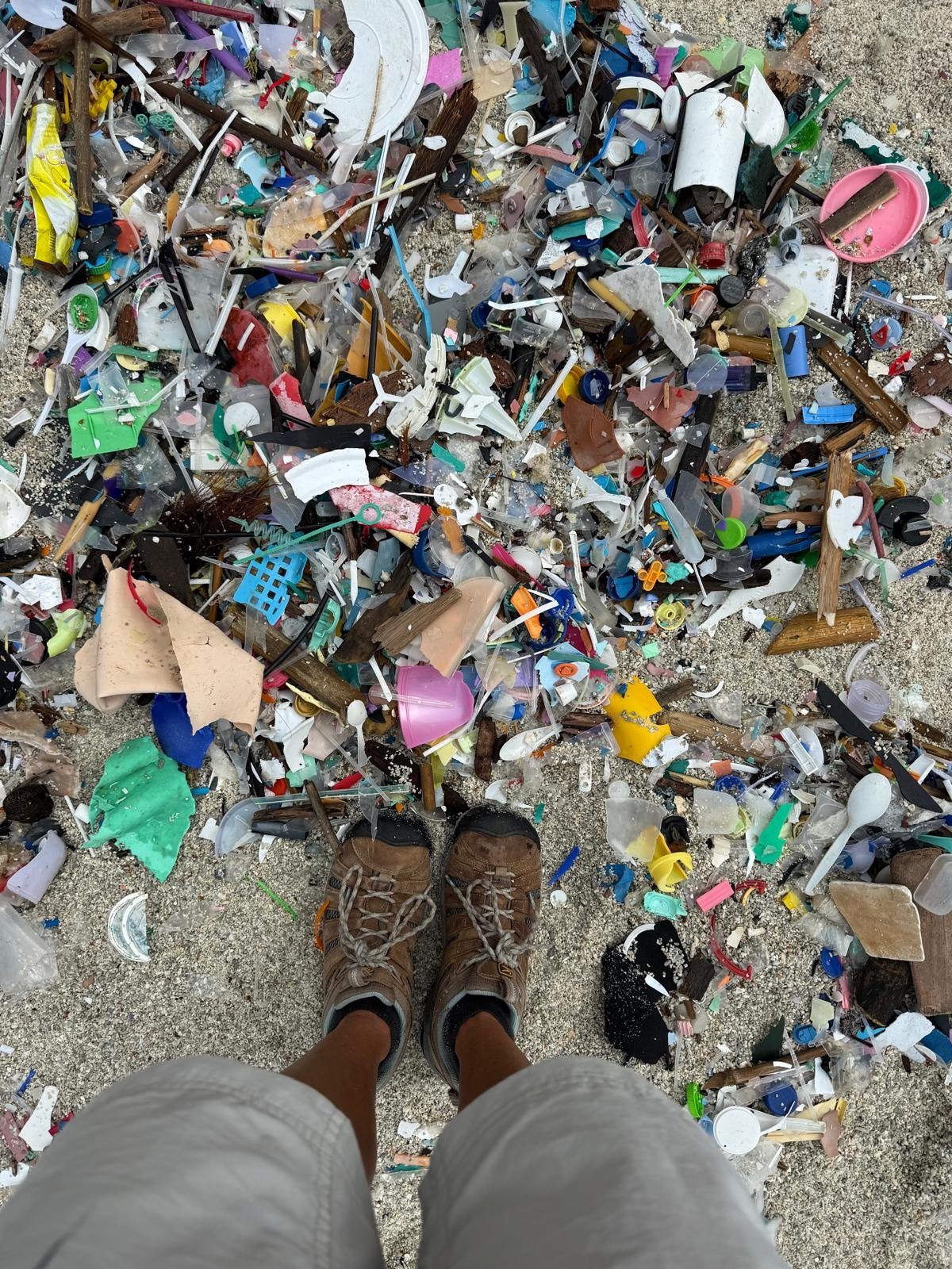 Marine debris gathered on Greta Beach, tallied by cleanup volunteers, photographed by Renee Mouritz