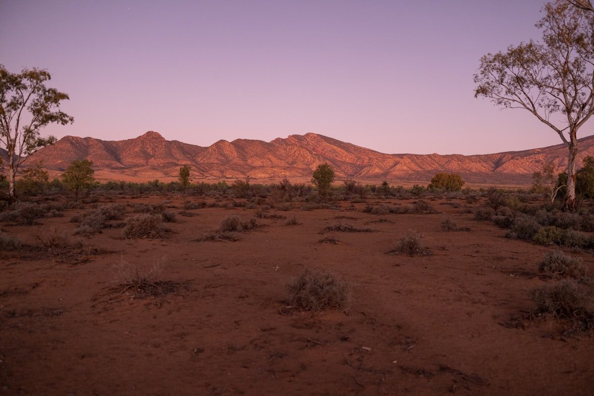 Dusk light on the Flinders Ranges
