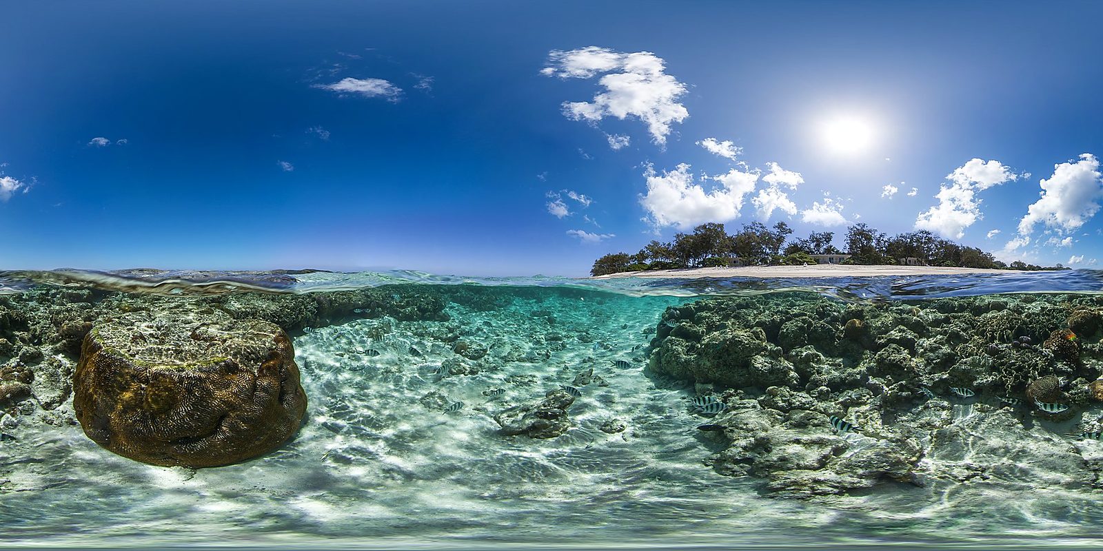 The clear reef waters of Lady Elliot Island, coral gardens beneath the surface
