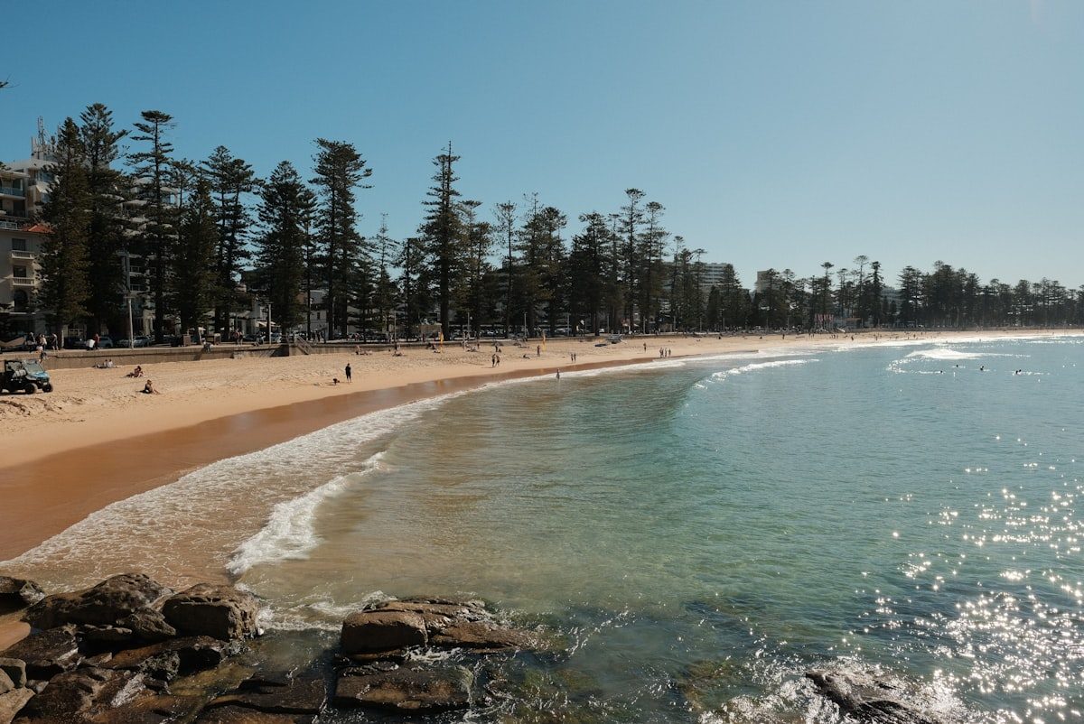 Manly Beach and its Norfolk pines, journey's end for the Spit walk