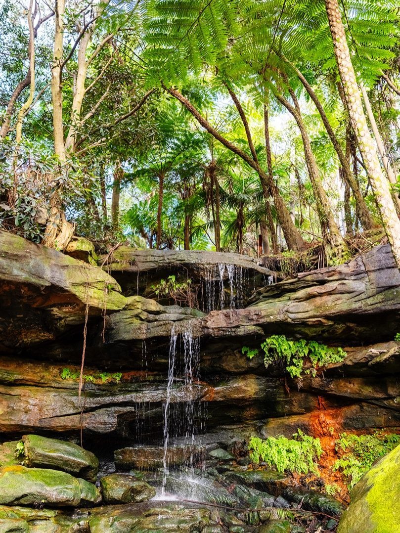 A waterfall in the bush, photographed by Oliver Strewe