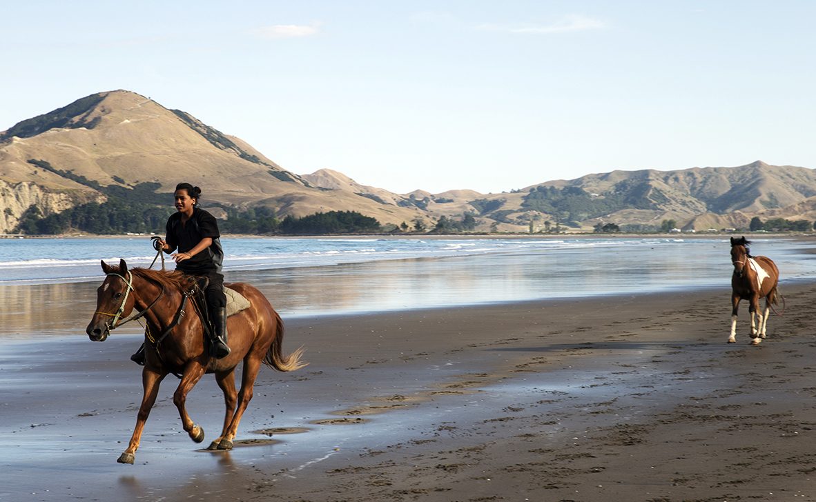 Horses being ridden along the beach at Tolaga Bay, New Zealand