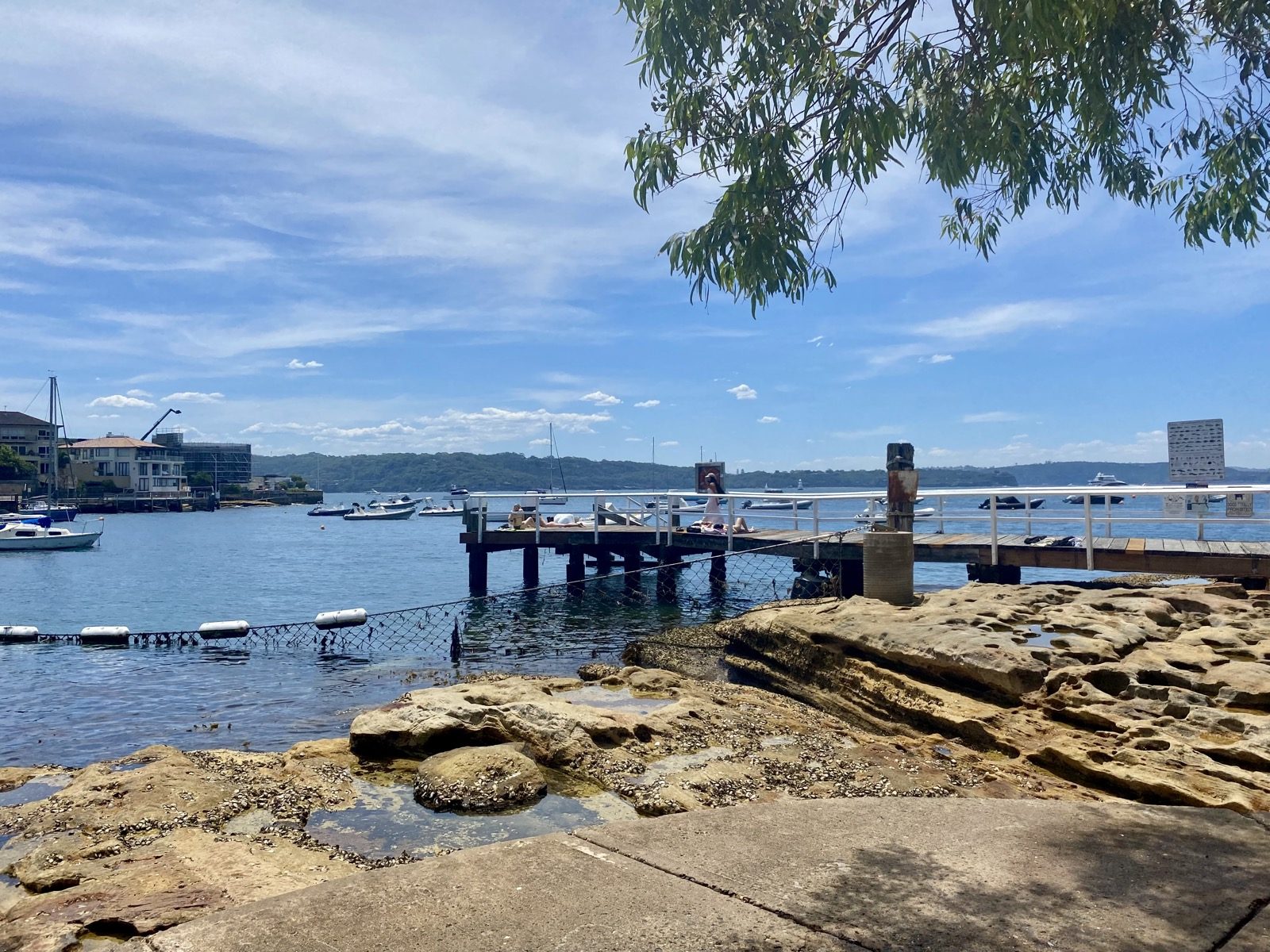 The netted swimming area and jetty at Parsley Bay
