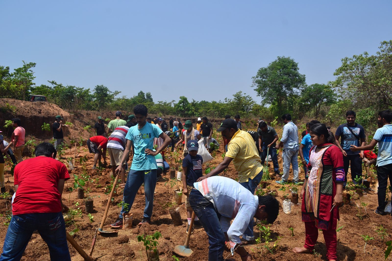 A Miyawaki pocket forest planting day at Hanji Farms in India, a stand in for the SUGi projects in the story