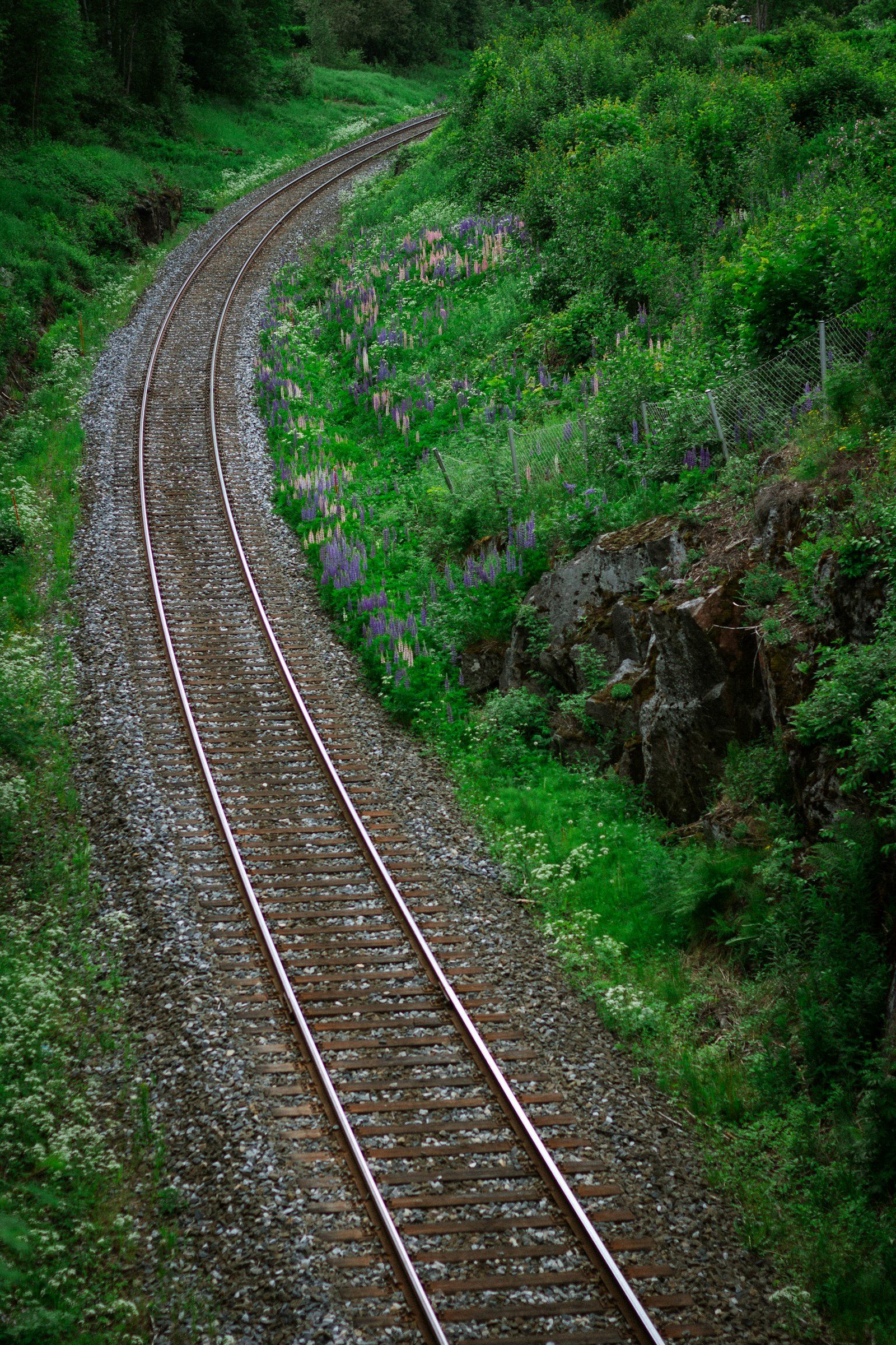 A single railway track curving through lush green countryside