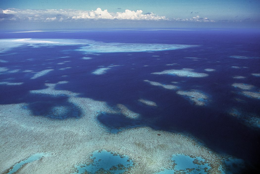Aerial view of pale coral shallows giving way to deep blue water in the Torres Strait, photographed by Oliver Strewe