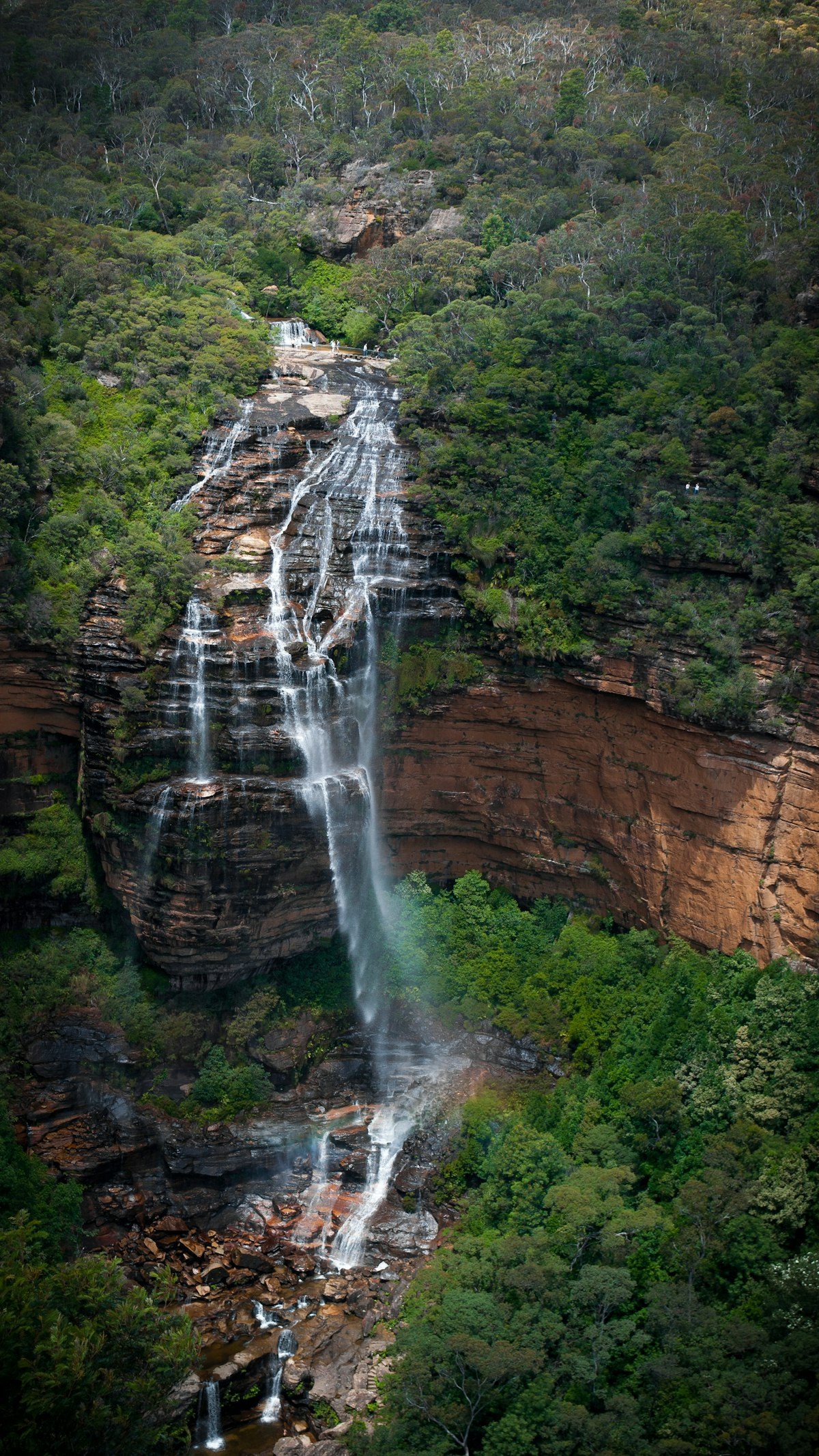 Wentworth Falls tumbling into the Jamison Valley